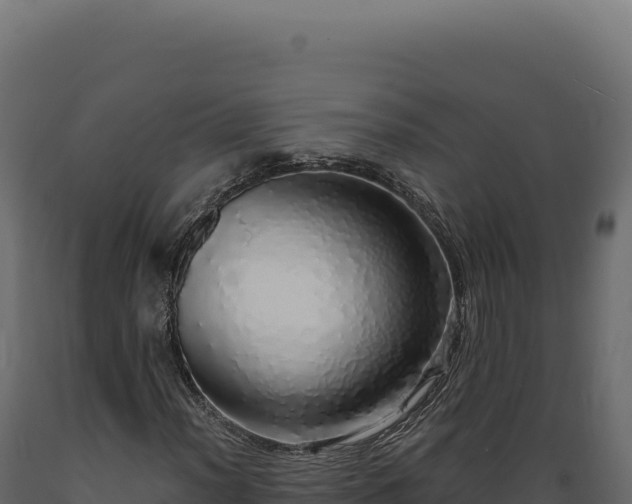 X0000089961012200707061136