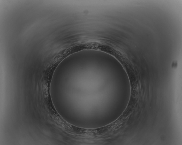 X0000089961013200707061136