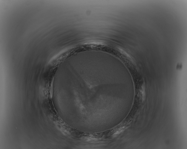 X0000089961014200707061136