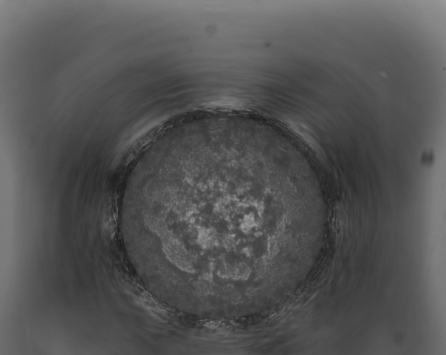 X0000089961015200707061136