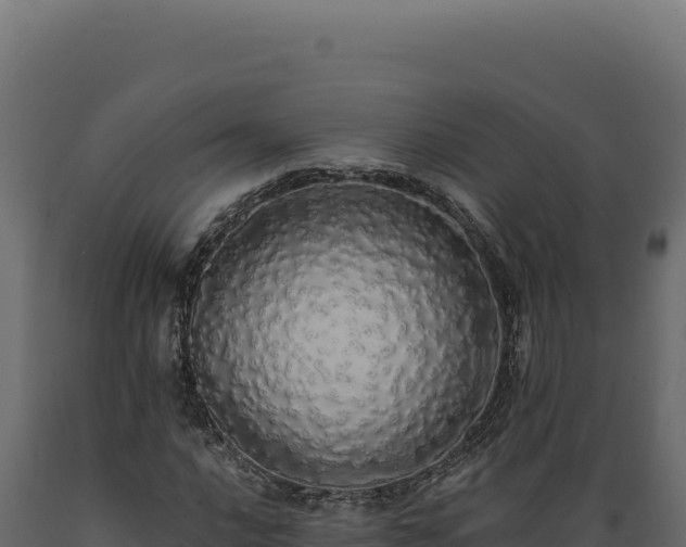 X0000089961016200707061136