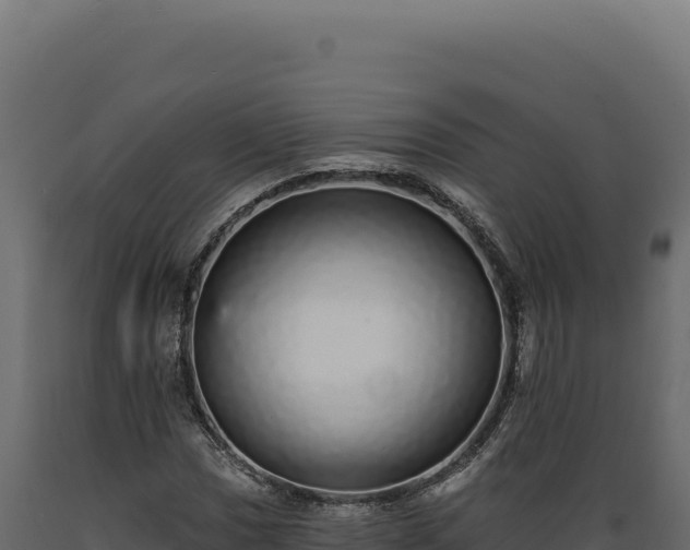 X0000089961017200707061136