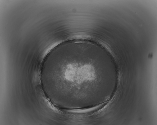 X0000089961018200707061136