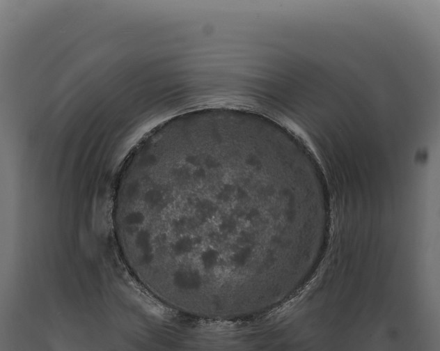 X0000089961019200707061136