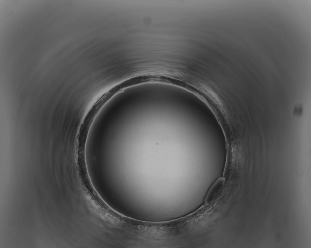X0000089961020200707061136