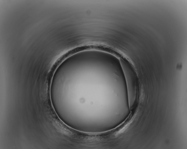 X0000089961021200707061136