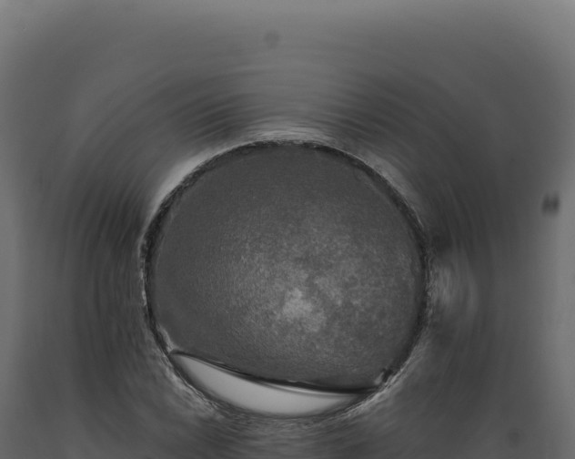 X0000089961022200707061136