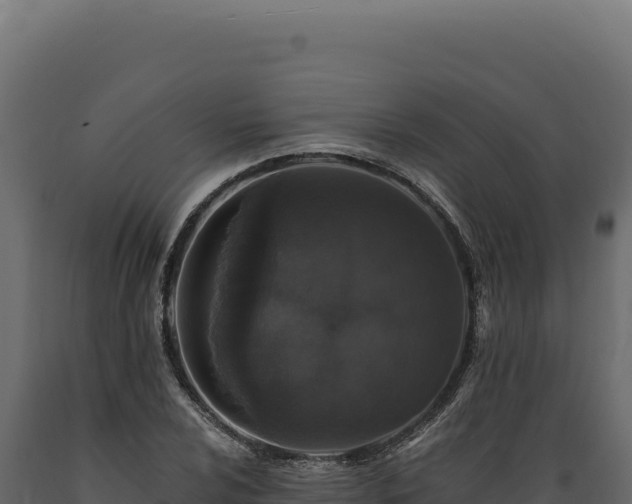 X0000089961024200707061136