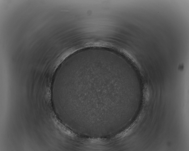 X0000089961025200707061136