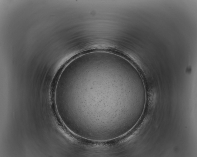 X0000089961026200707061136