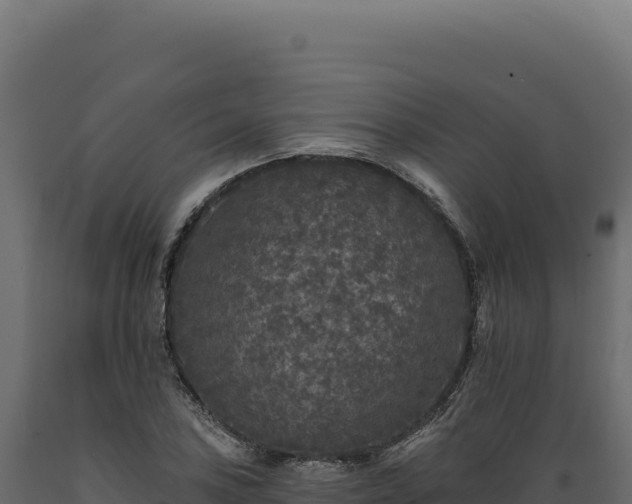 X0000089961027200707061136