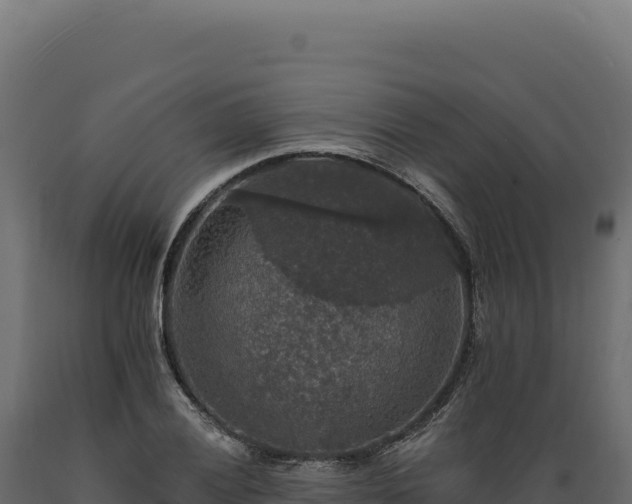 X0000089961028200707061136