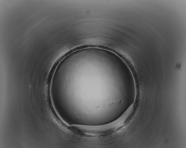 X0000089961029200707061136