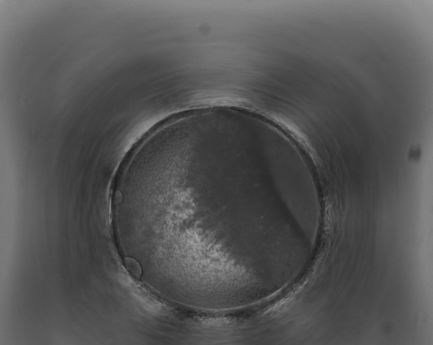 X0000089961031200707061136
