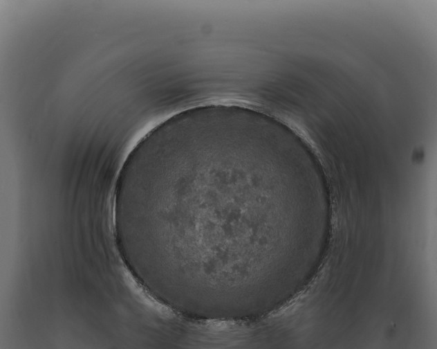 X0000089961032200707061136