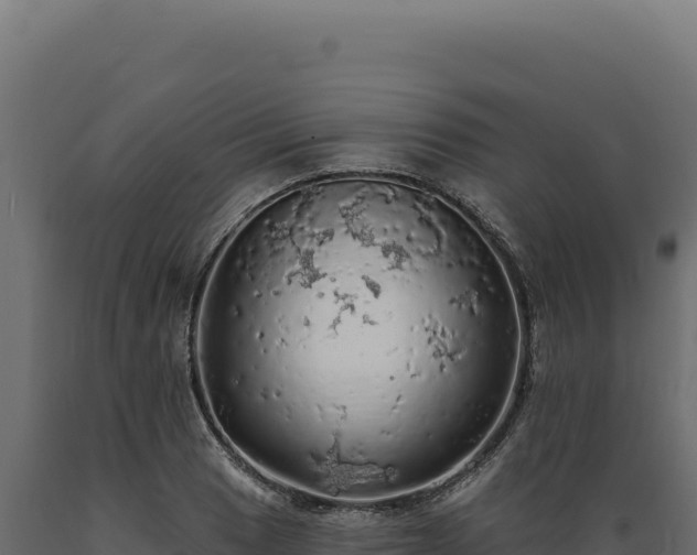 X0000089961033200707061136
