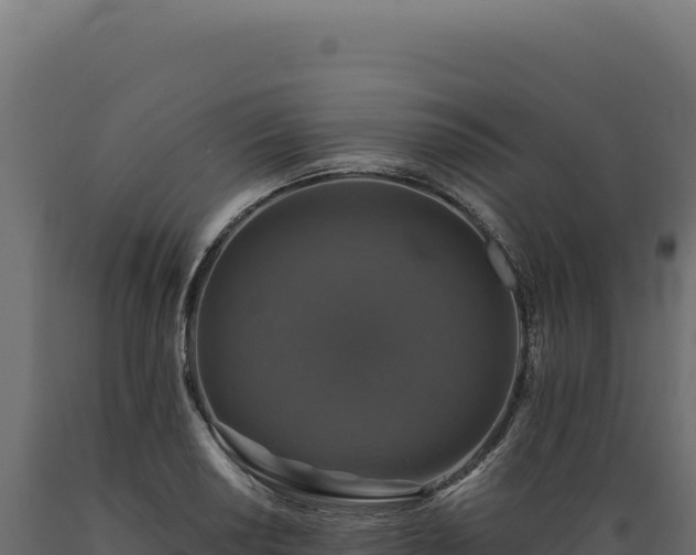 X0000089961034200707061136