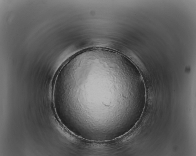X0000089961036200707061136