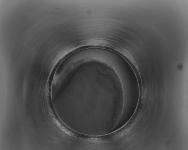 X0000089961037200707061136