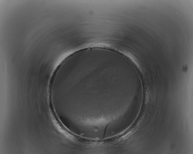 X0000089961038200707061136