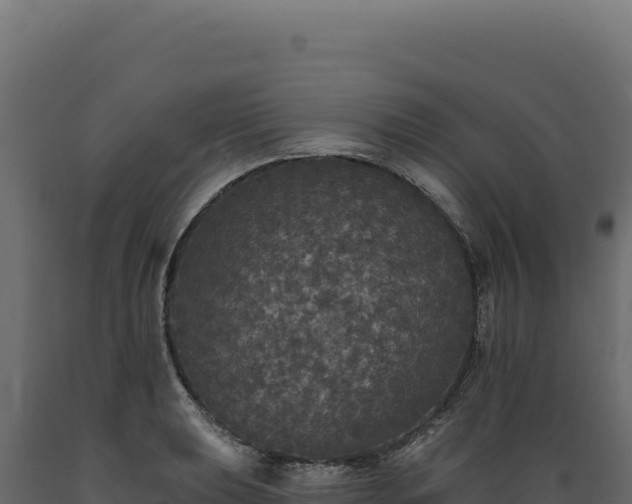 X0000089961039200707061136