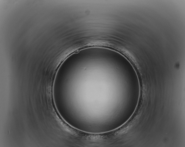X0000089961041200707061136