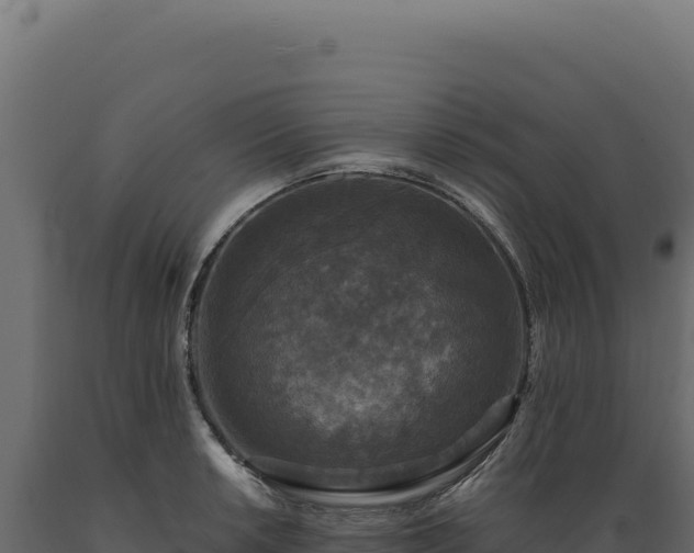X0000089961042200707061136
