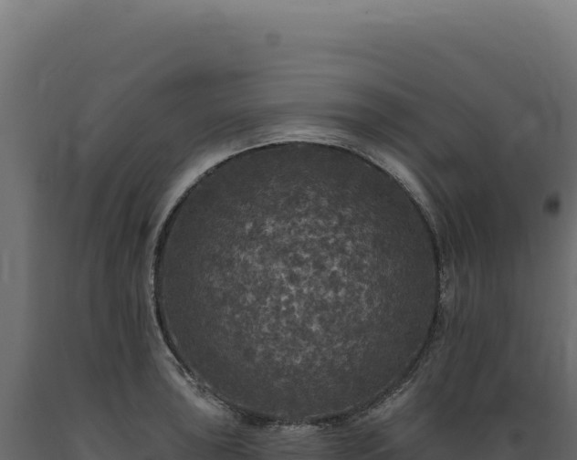 X0000089961043200707061136