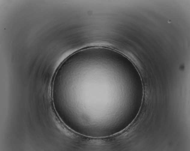 X0000089961044200707061136