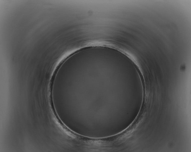 X0000089961045200707061136