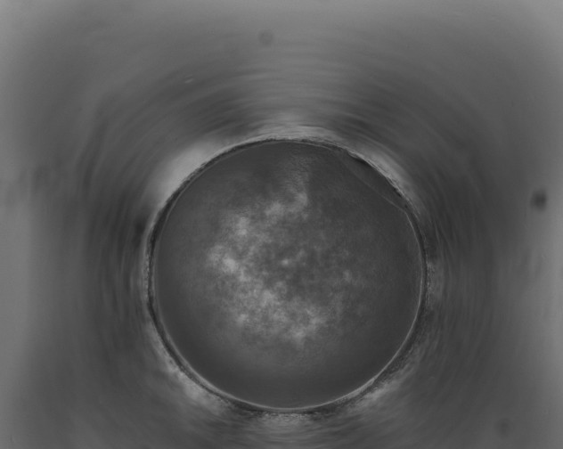 X0000089961046200707061136
