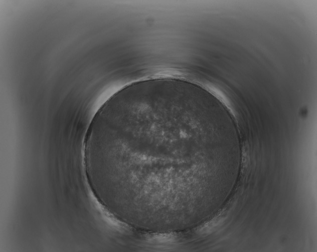 X0000089961047200707061136