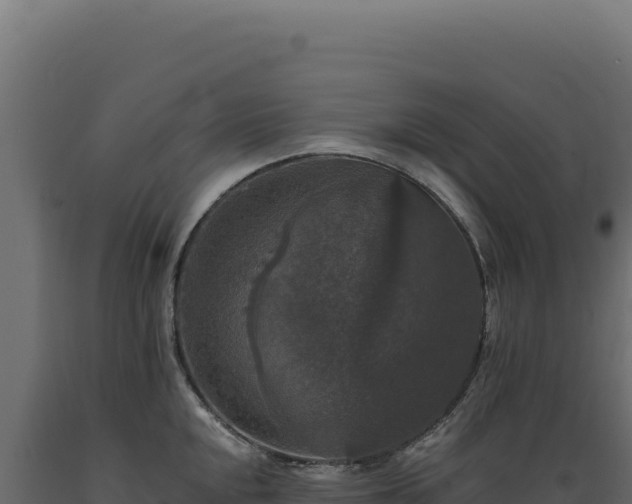 X0000089961048200707061136