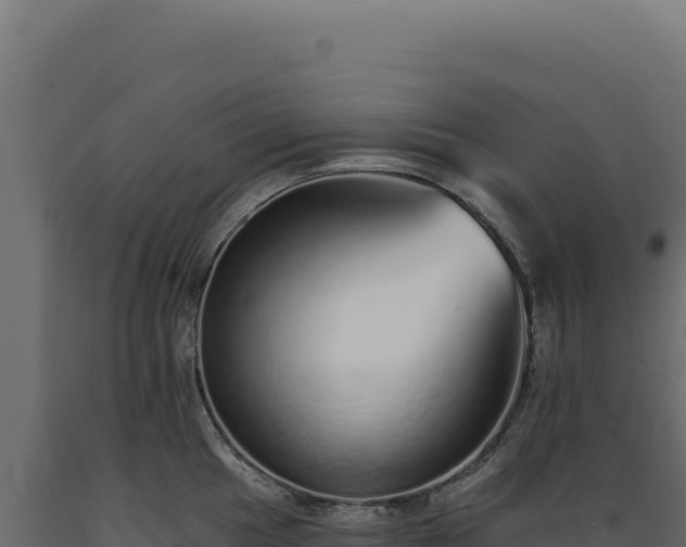 X0000089961049200707061136