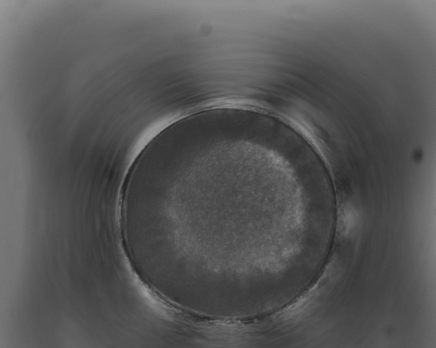 X0000089961050200707061136
