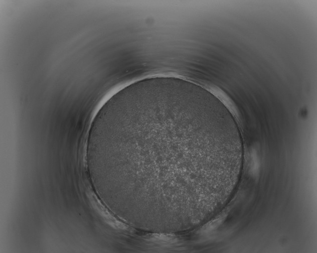 X0000089961052200707061136