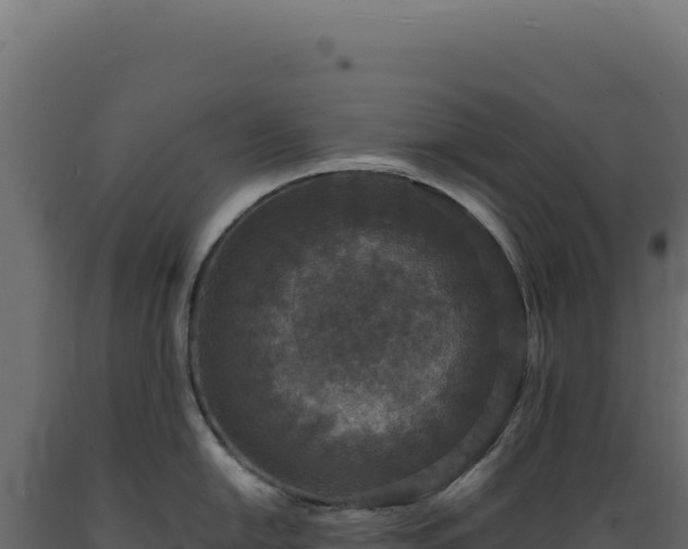 X0000089961054200707061136