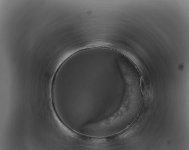 X0000089961055200707061136