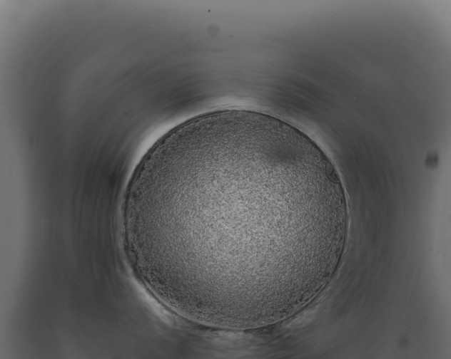 X0000089961056200707061136