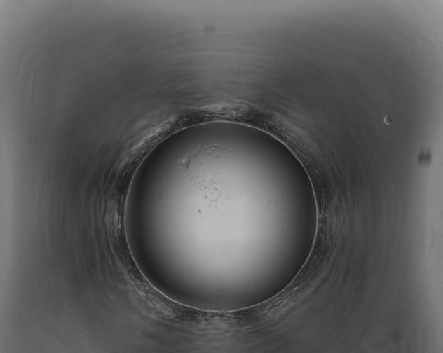 X0000089961058200707061135