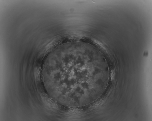 X0000089961059200707061135
