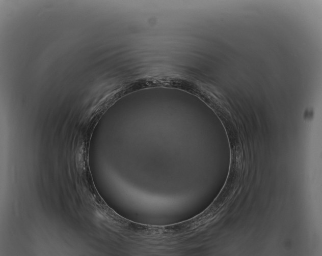 X0000089961060200707061135