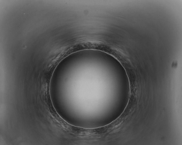 X0000089961061200707061135