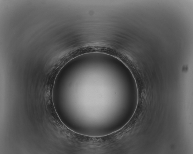 X0000089961062200707061135