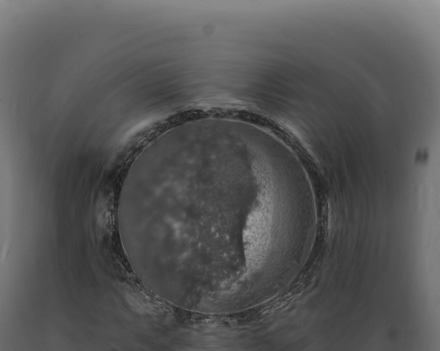 X0000089961063200707061135