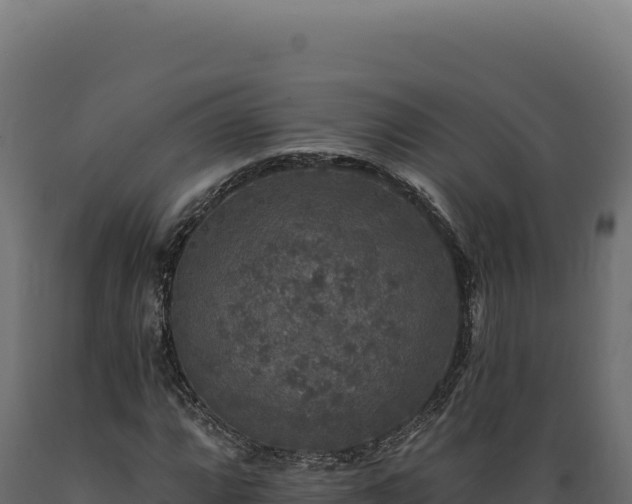 X0000089961064200707061135