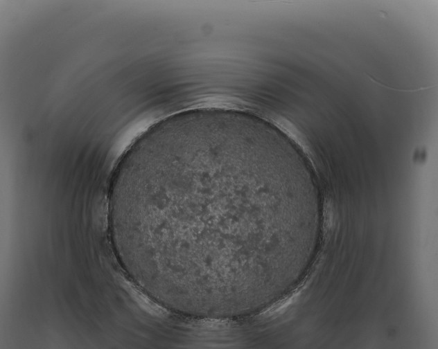 X0000089961067200707061135