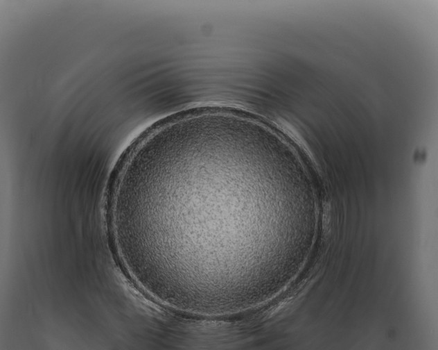 X0000089961068200707061135