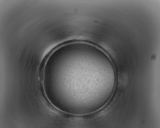 X0000089961070200707061135