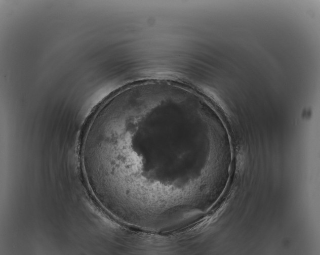 X0000089961071200707061135